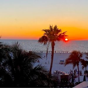 Meet your Posher, Robin